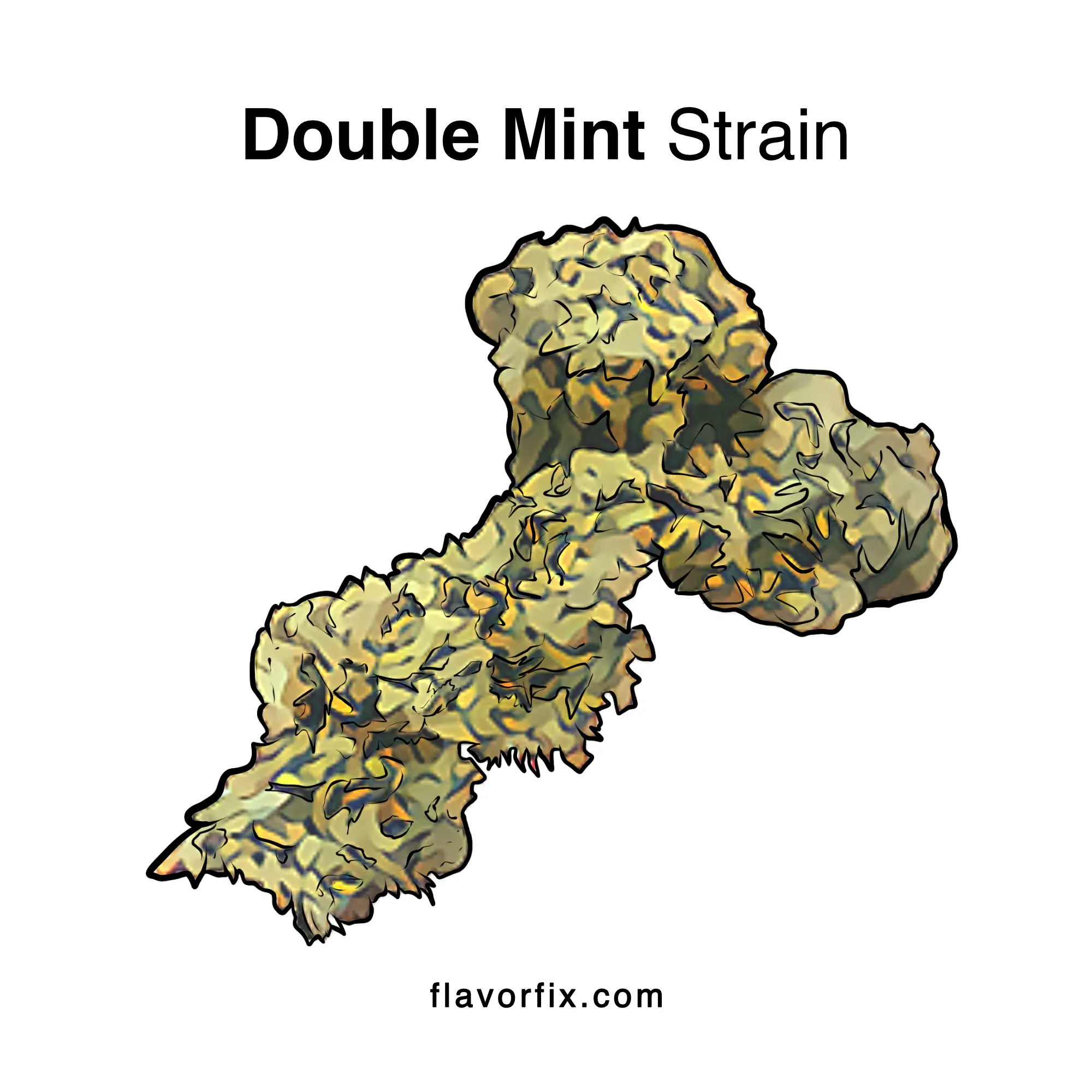 Double Mint Strain Strain Info & Ratings | Flavor Fix