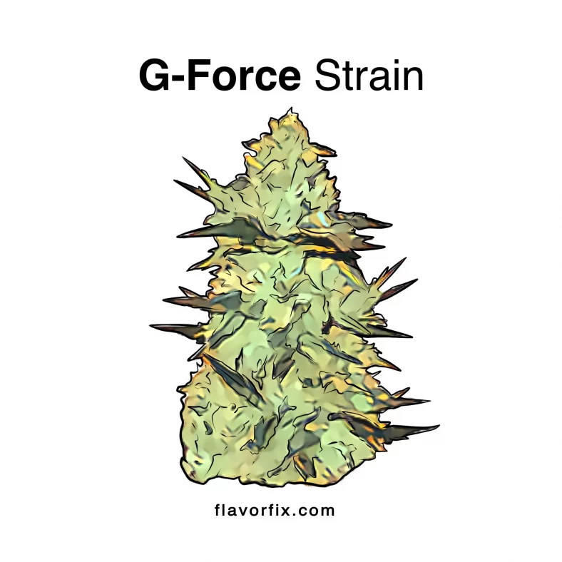 G-Force Strain