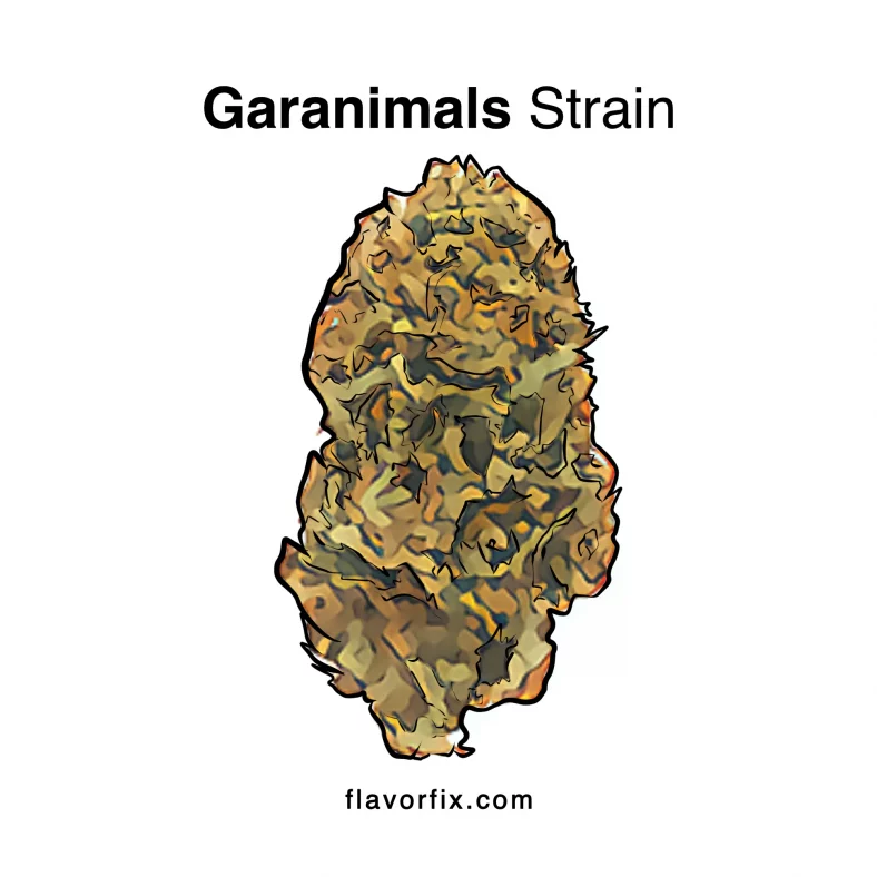 Garanimals Strain