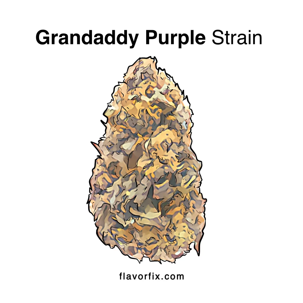 Grandaddy Purple Strain