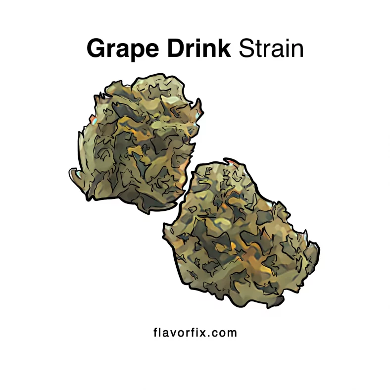 Grape Drink Strain