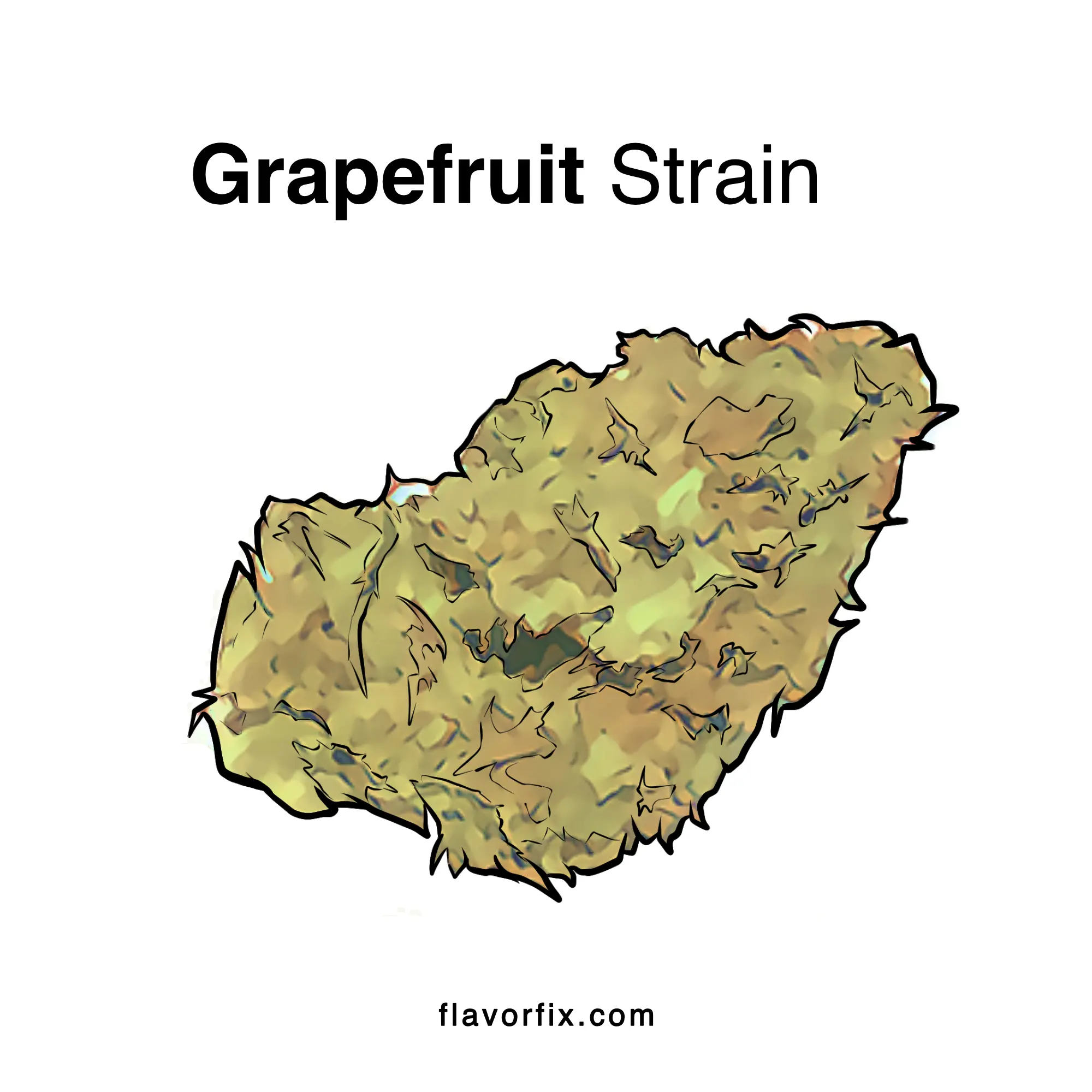 Grapefruit Strain Info Cannabis Strains Flavor Fix