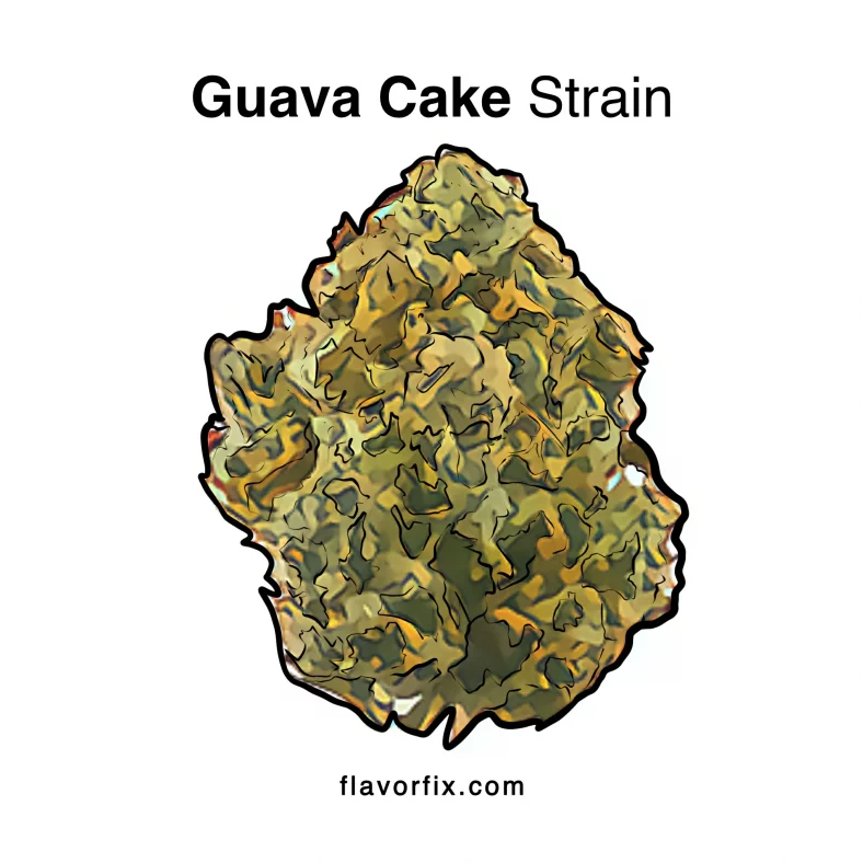 Guava Cake Strain