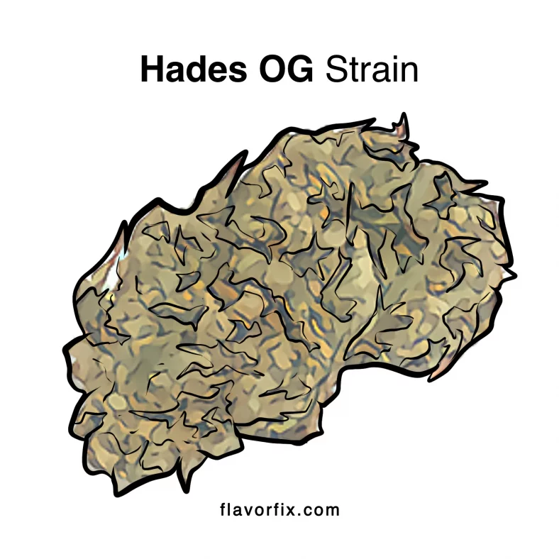 Hades OG Info & Ratings | Cannabis Strains | Flavor Fix