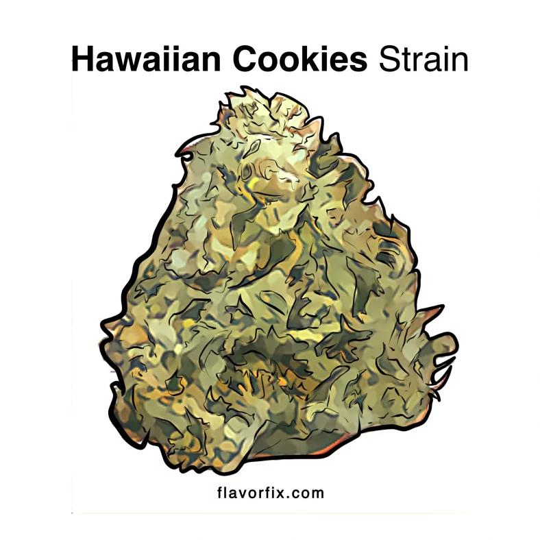 Hawaiian Cookies Strain