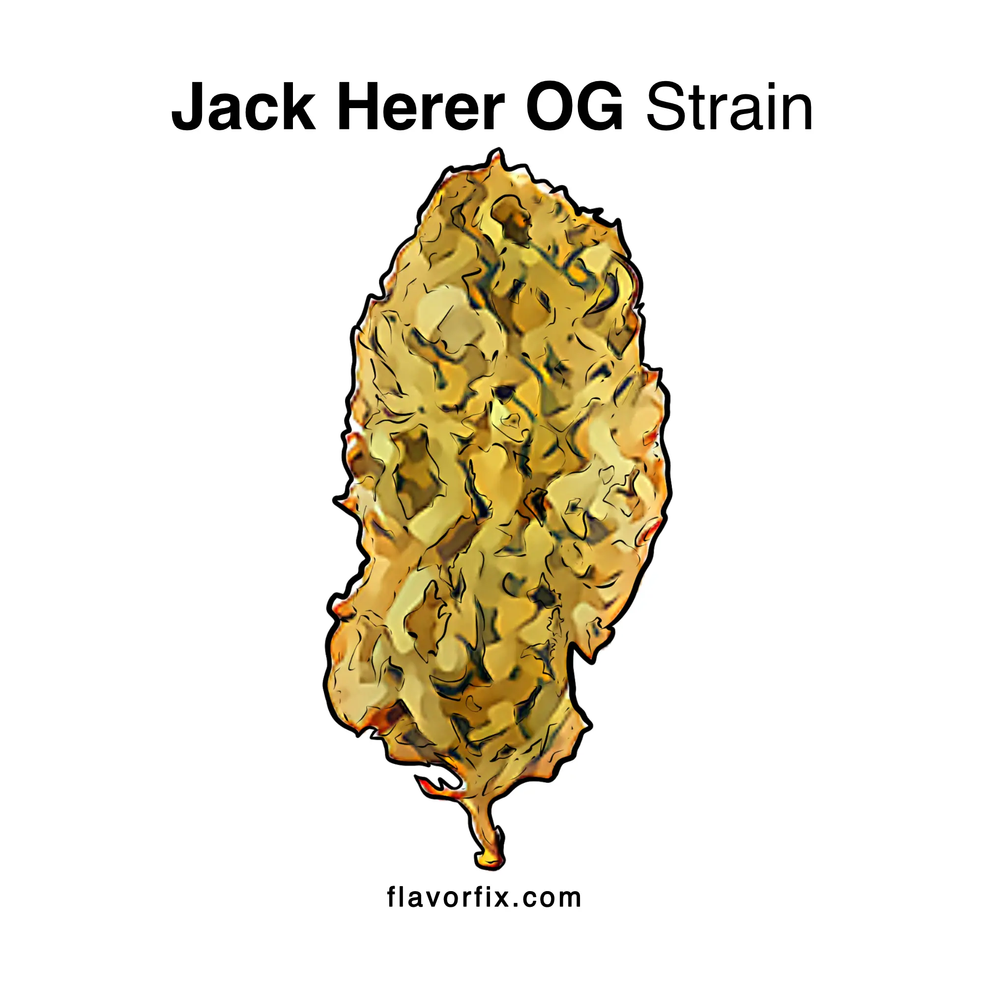 Jack Herer OG 6 Strain Usages Flavor Fix