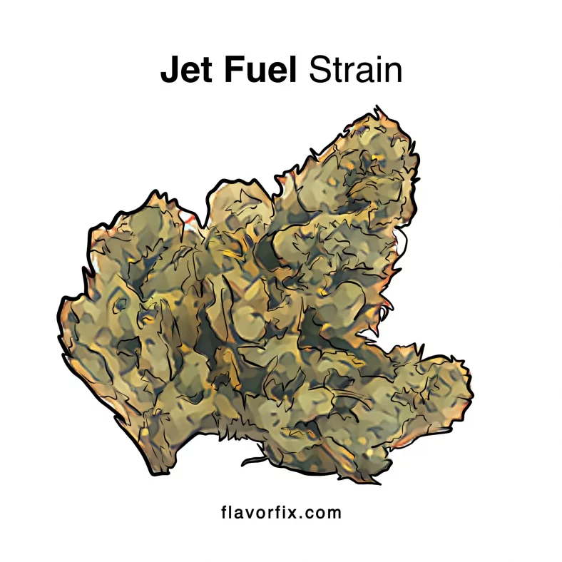 Jet Fuel Strain