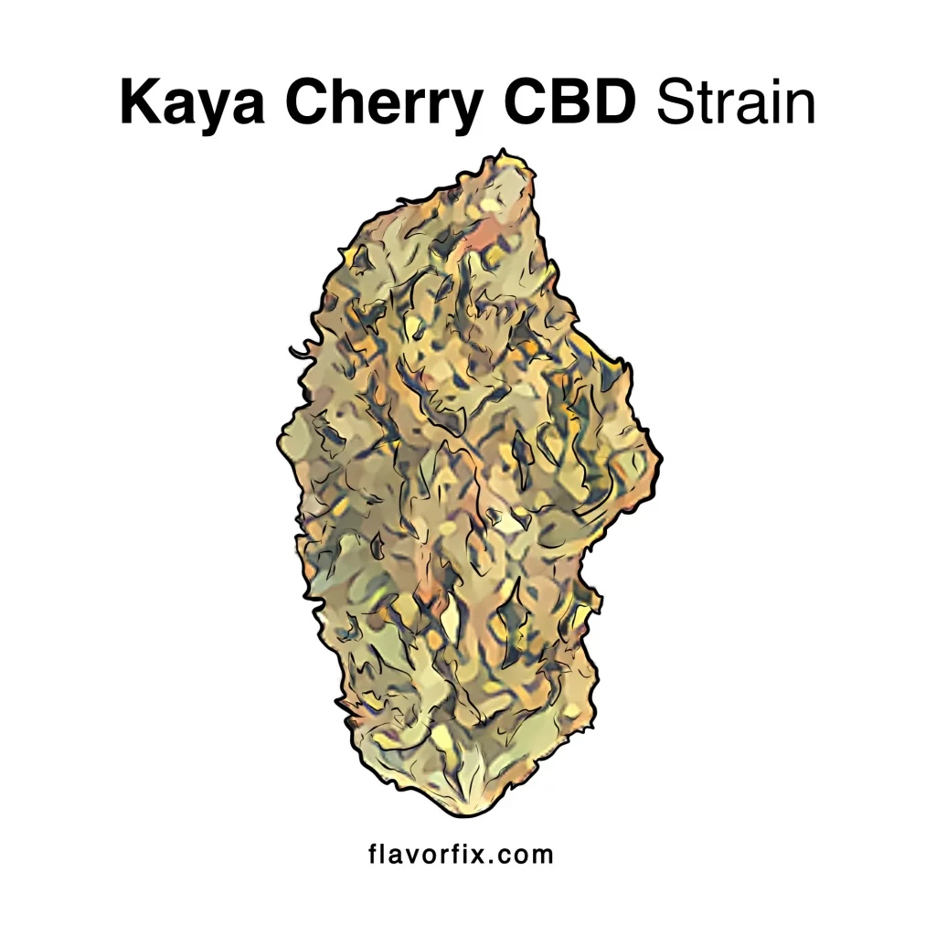 Kaya Cherry CBD Strain