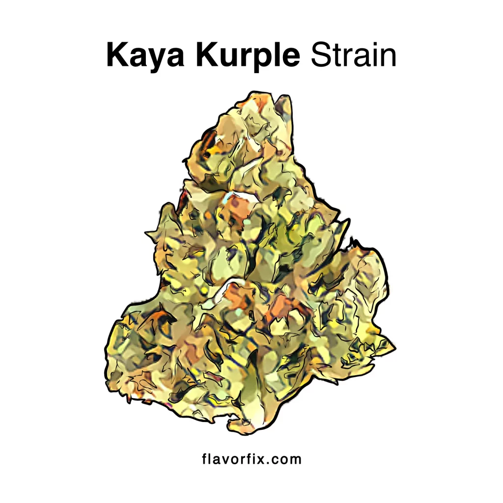 Kaya Kurple Strain