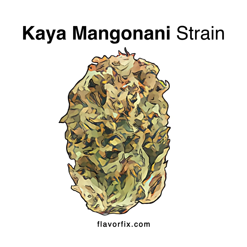 Kaya Mangonani Strain