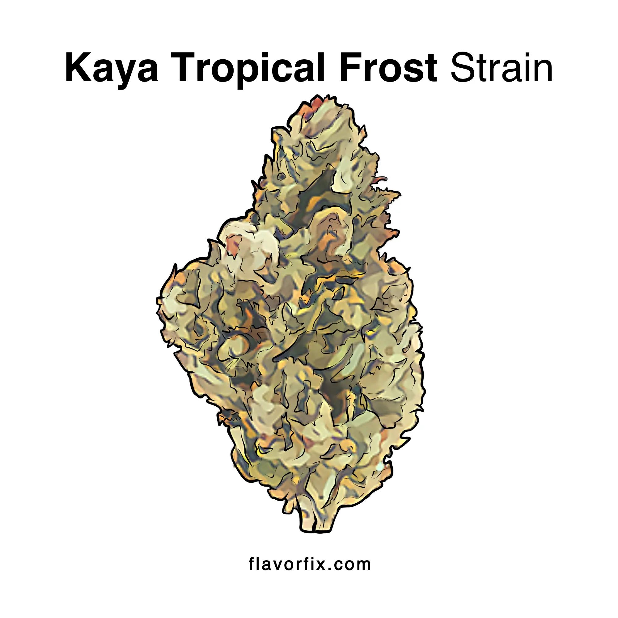 Kaya Tropical Frost Strain