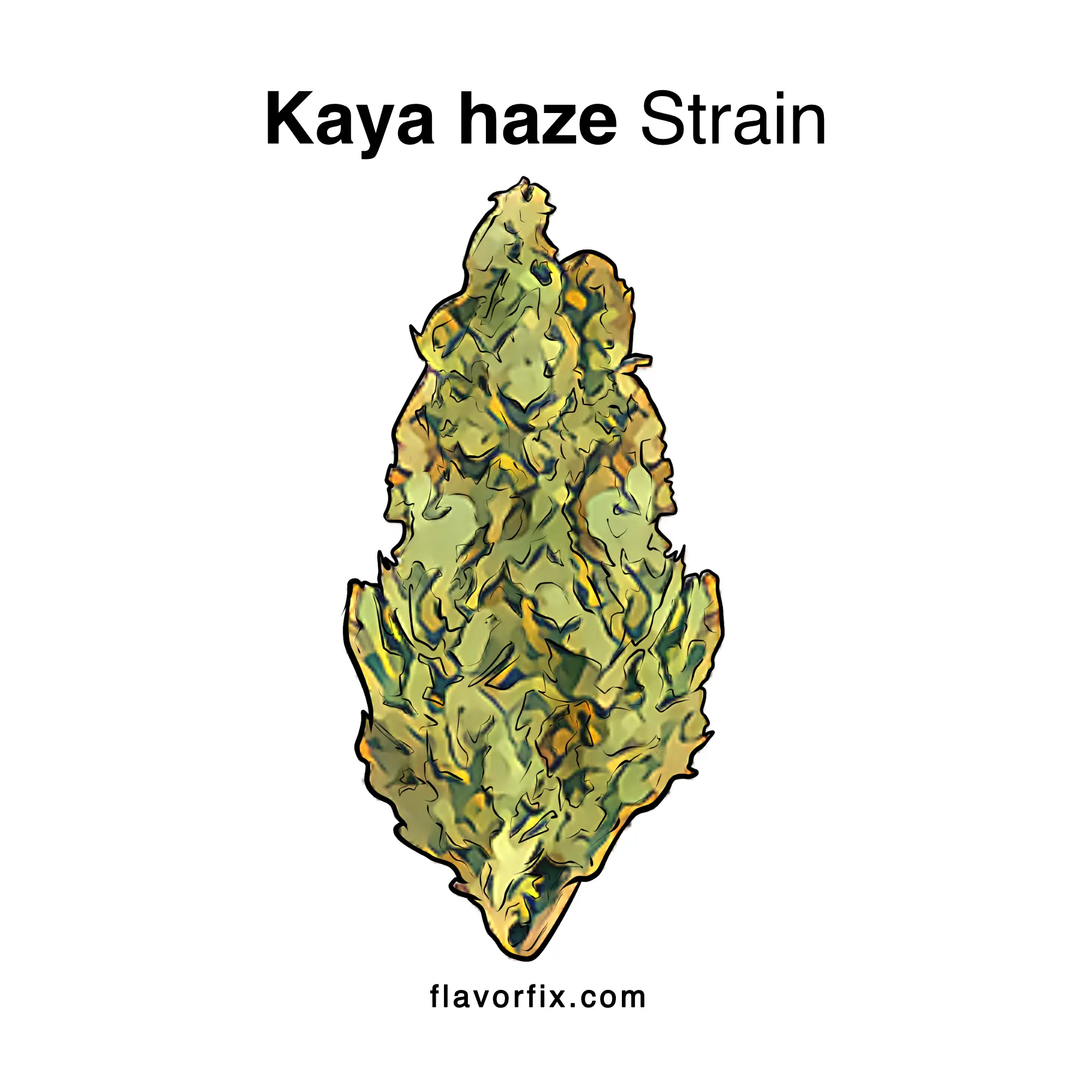 Kaya haze Strain