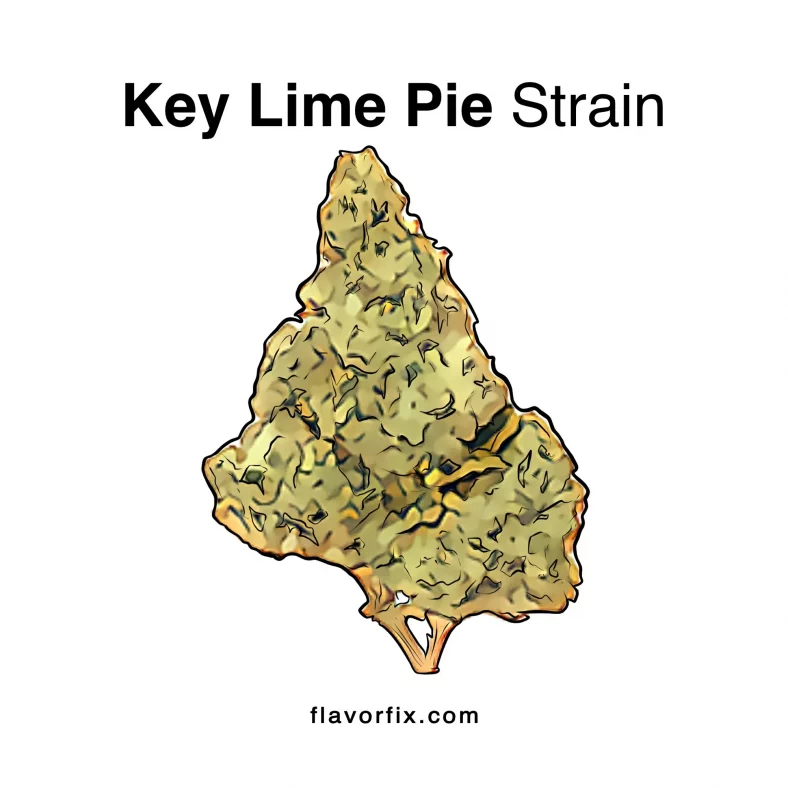 Key Lime Strain