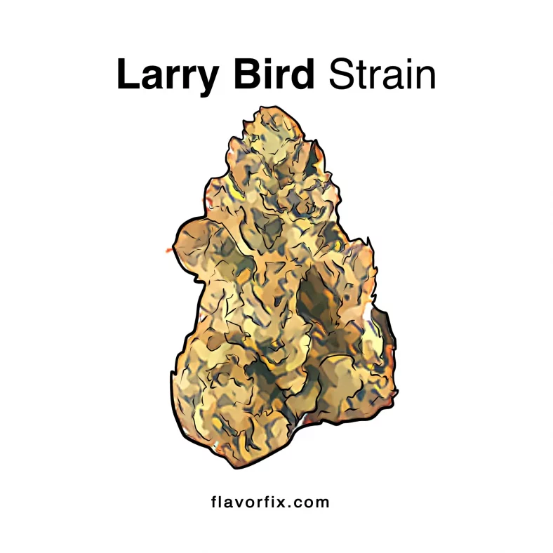 Larry Bird Strain