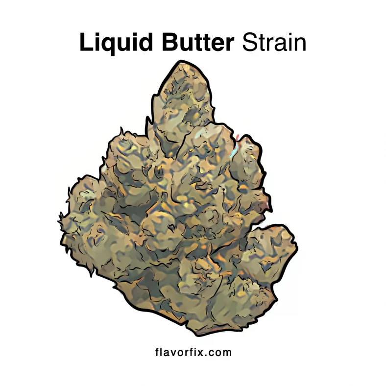 Liquid Butter Strain