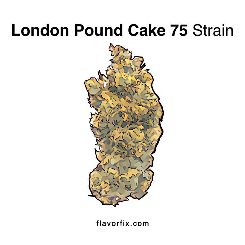 London Pound Cake 75 Strain