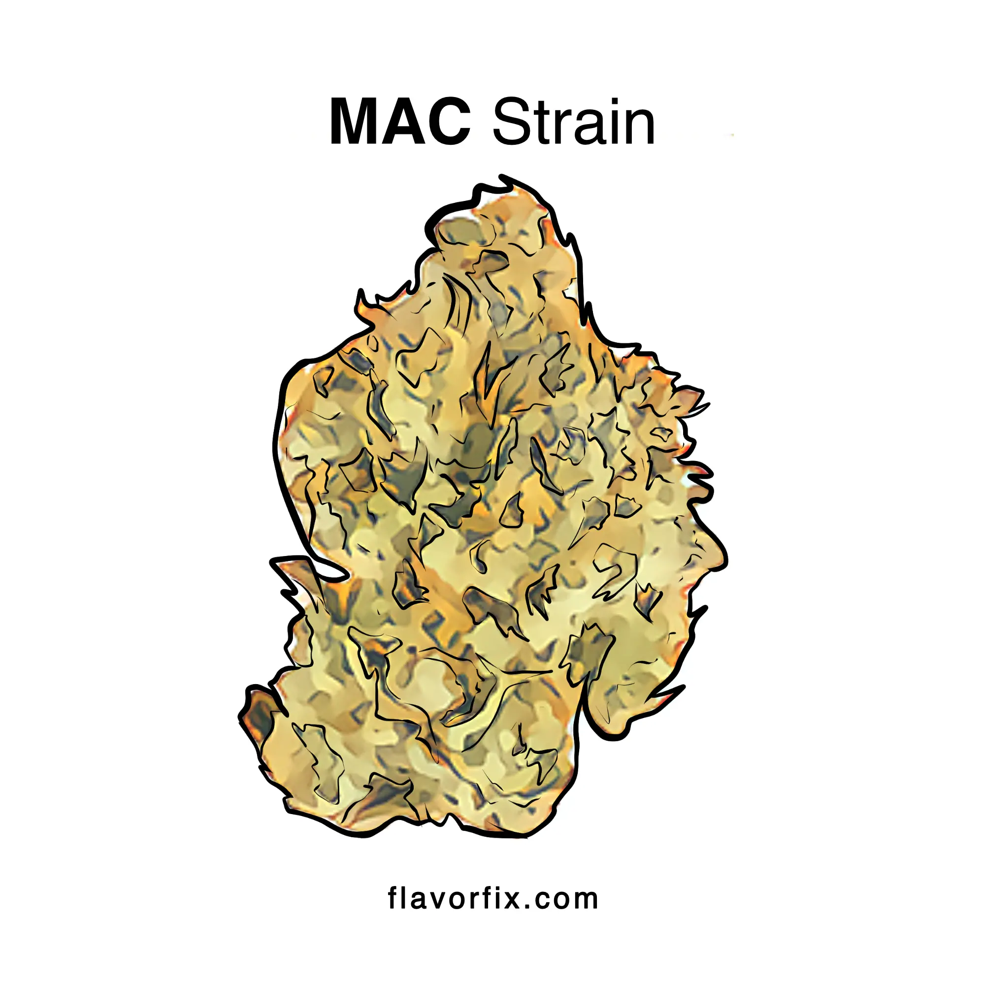 MAC Strain Effects & Info | Cannabis Strains | Flavor Fix