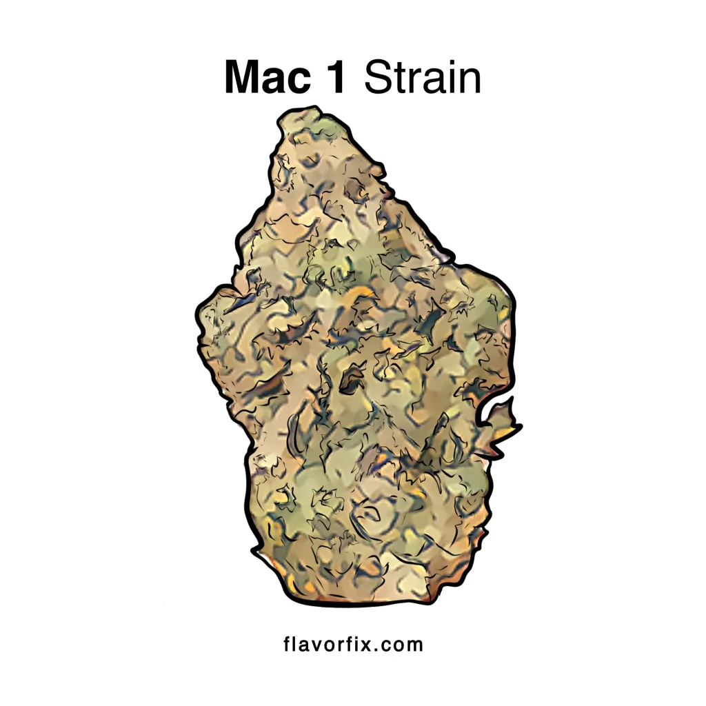 Mac 1 Strain