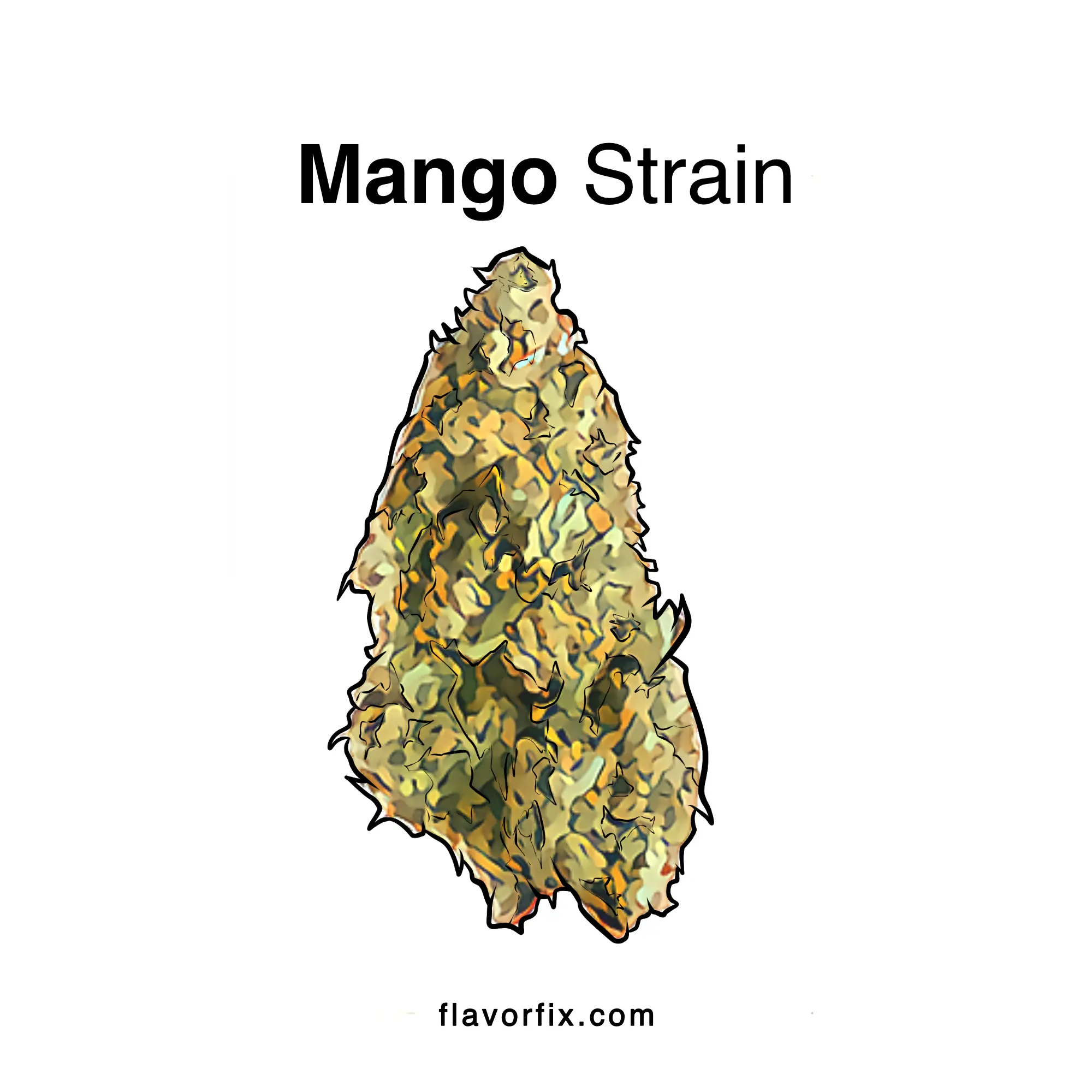 Mango Strain Info & Effects | Cannabis Strains | Flavor Fix