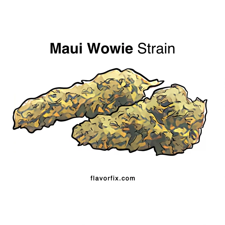 Maui Wowie Strain