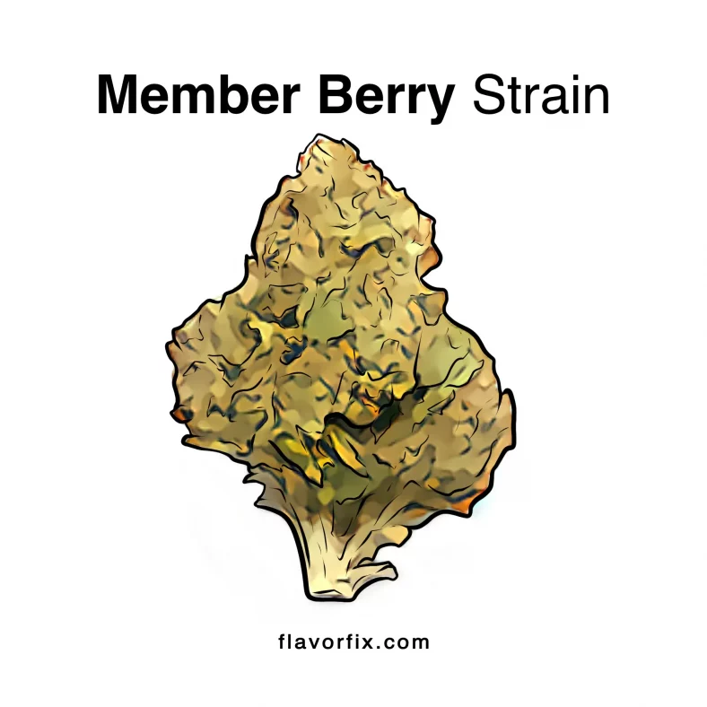Member Berry Strain