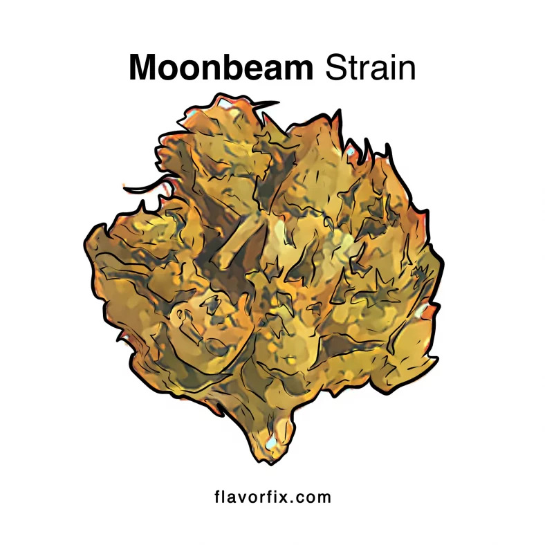 Moonbeam Strain