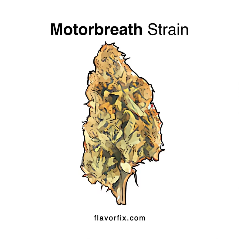 Motorbreath Strain