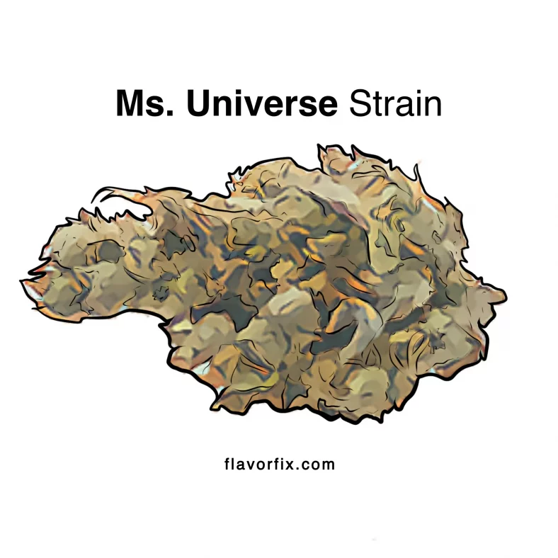Ms. Universe Strain