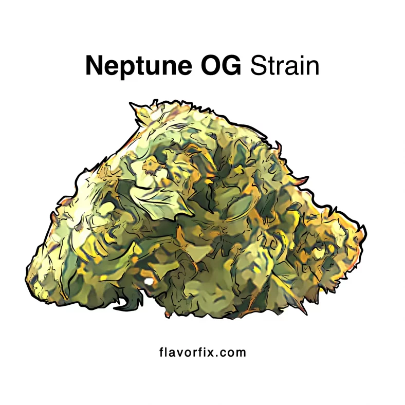 Neptune OG Strain