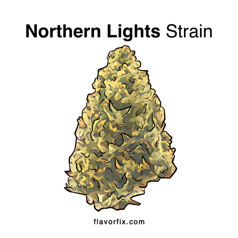 Northern Lights Strain