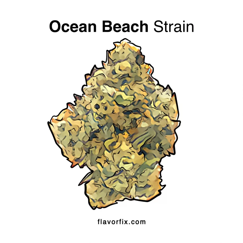 Ocean Beach Strain