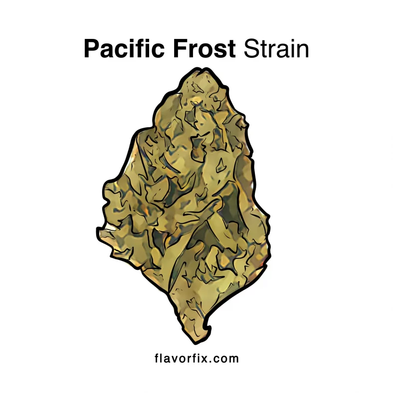 Pacific Frost Strain