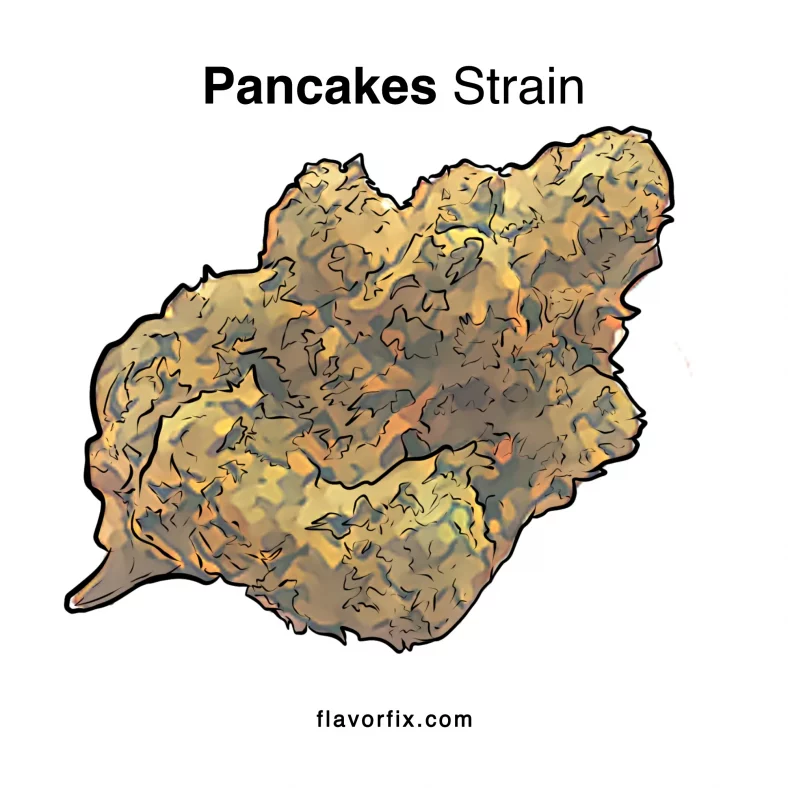 Pancakes Strain