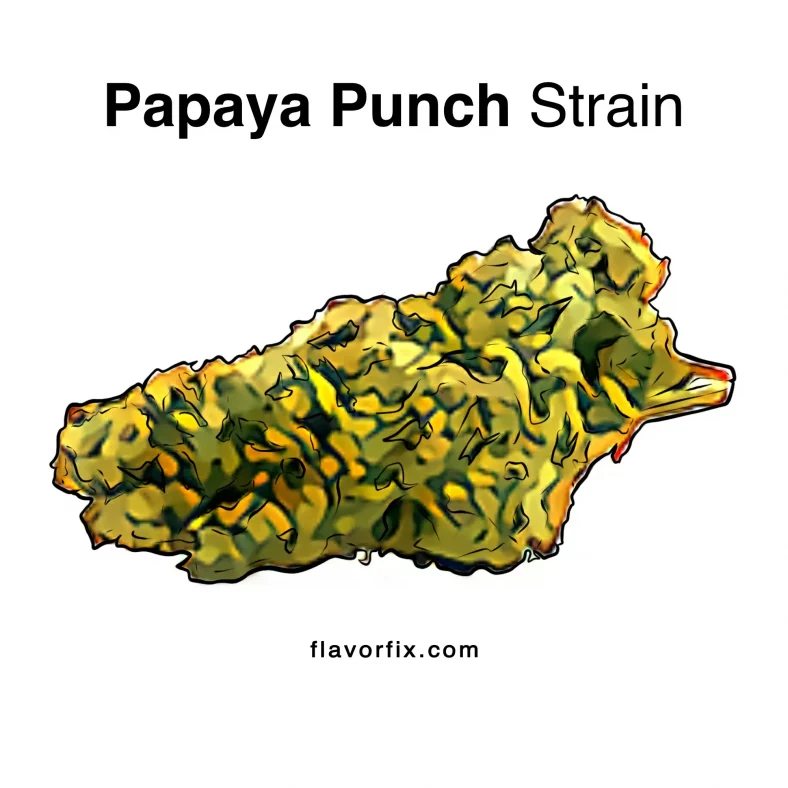 Papaya Punch Strain