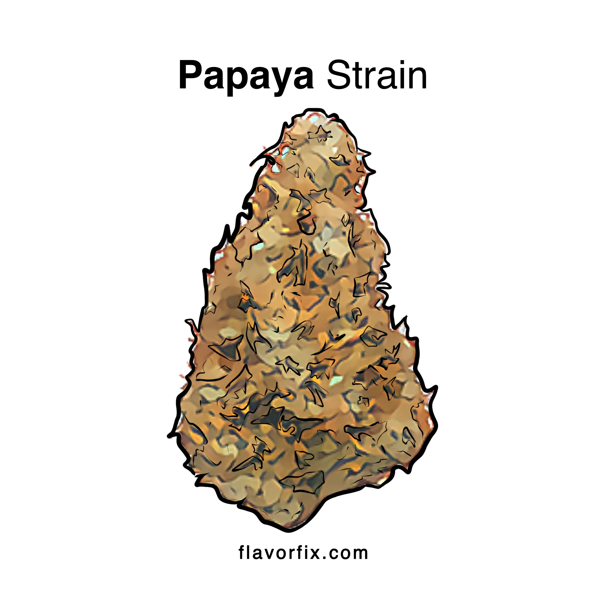 Papaya Strain Cannabis Strains Information Flavor Fix