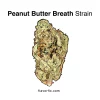 Peanut Butter Breath Strain