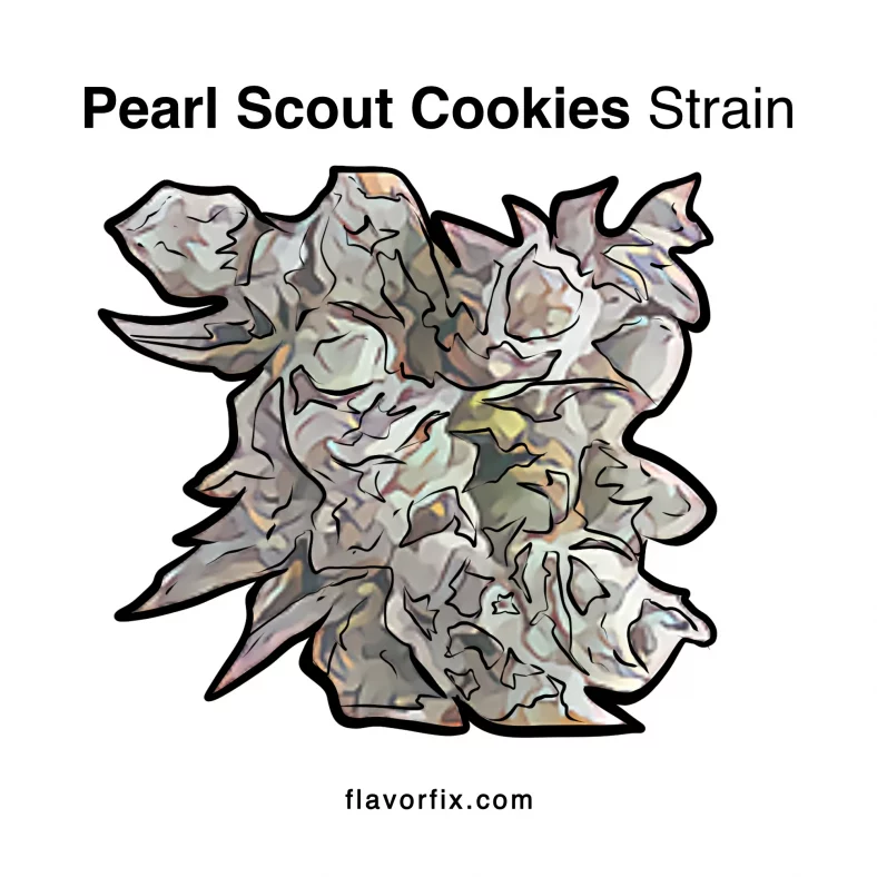 Pearl Scout Cookies Strain