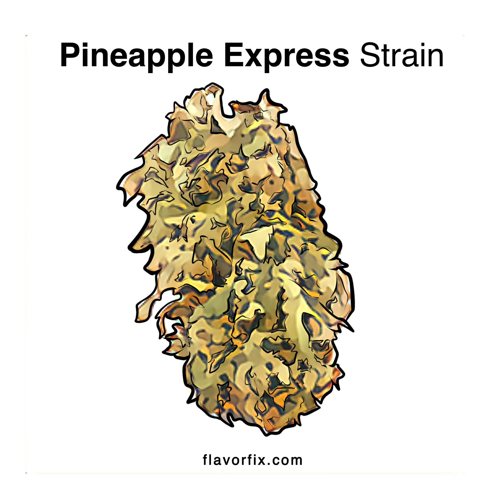 Pineapple Express Strain | Tropical and Talkative | Flavor Fix