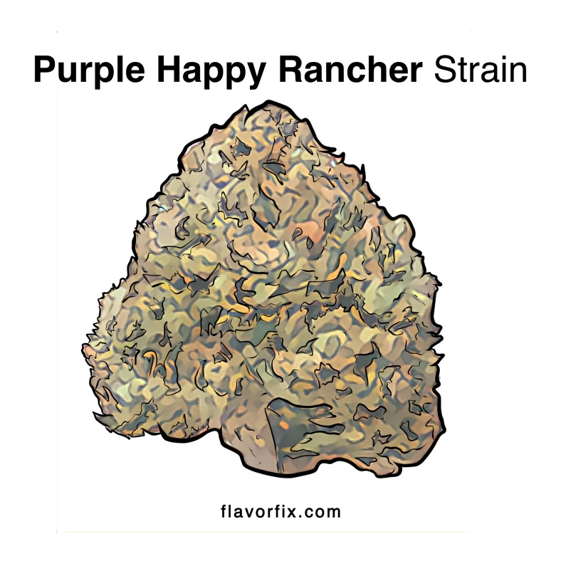 Purple Happy Rancher Strain
