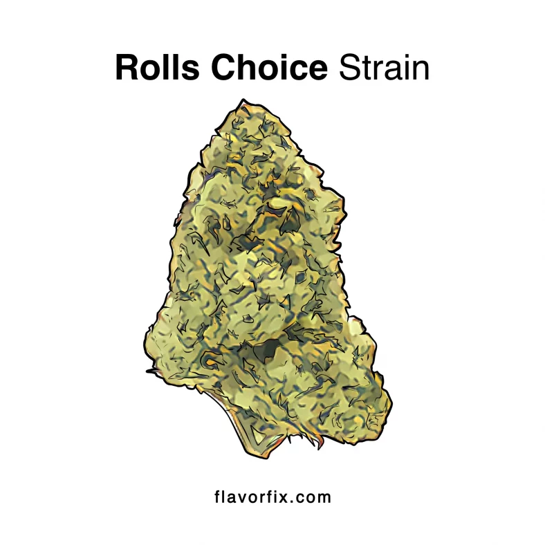 Rolls Choice Strain
