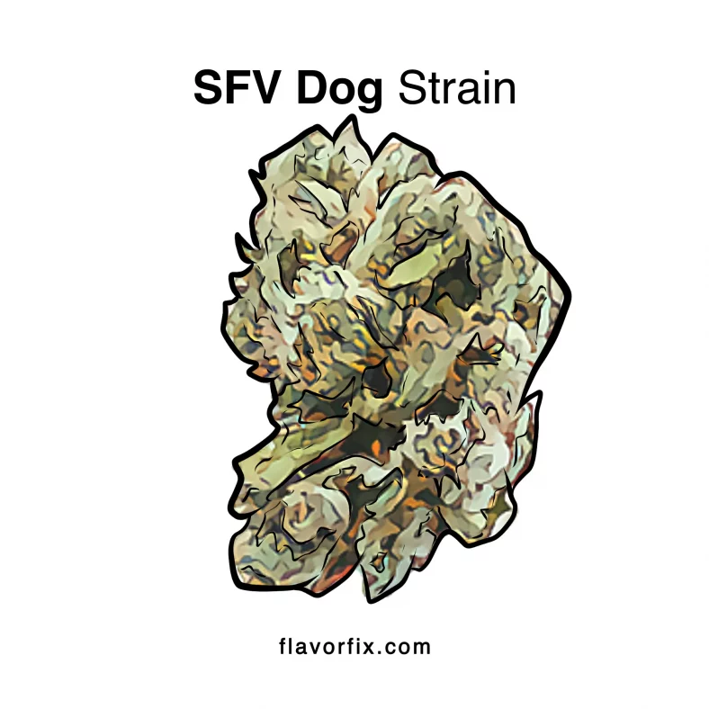 SFV Dog Strain