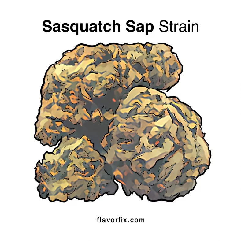 Sasquatch Sap Strain