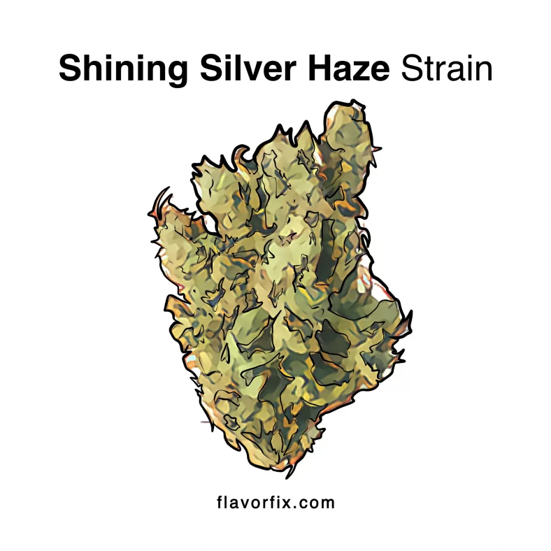 Shining Silver Haze Strain