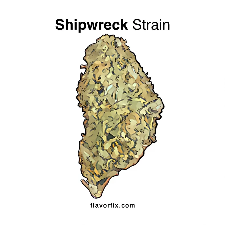 Shipwreck Strain