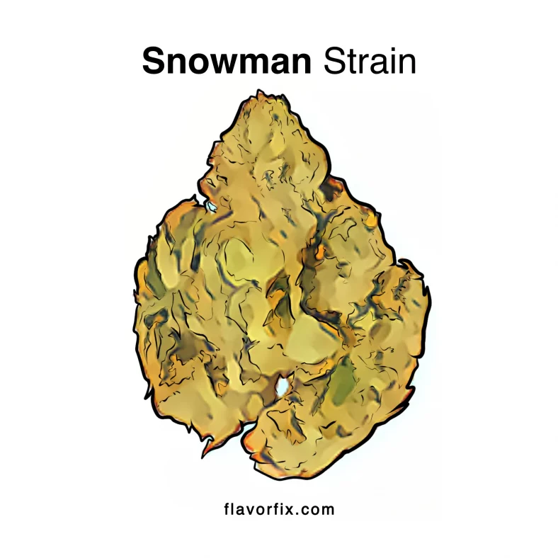 Snowman Strain