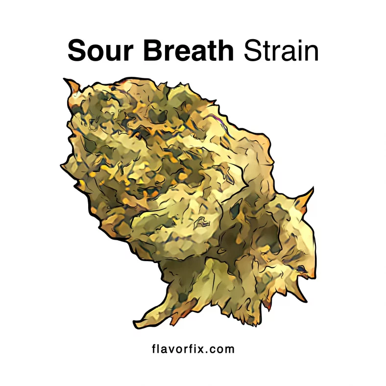 Sour breath Strain