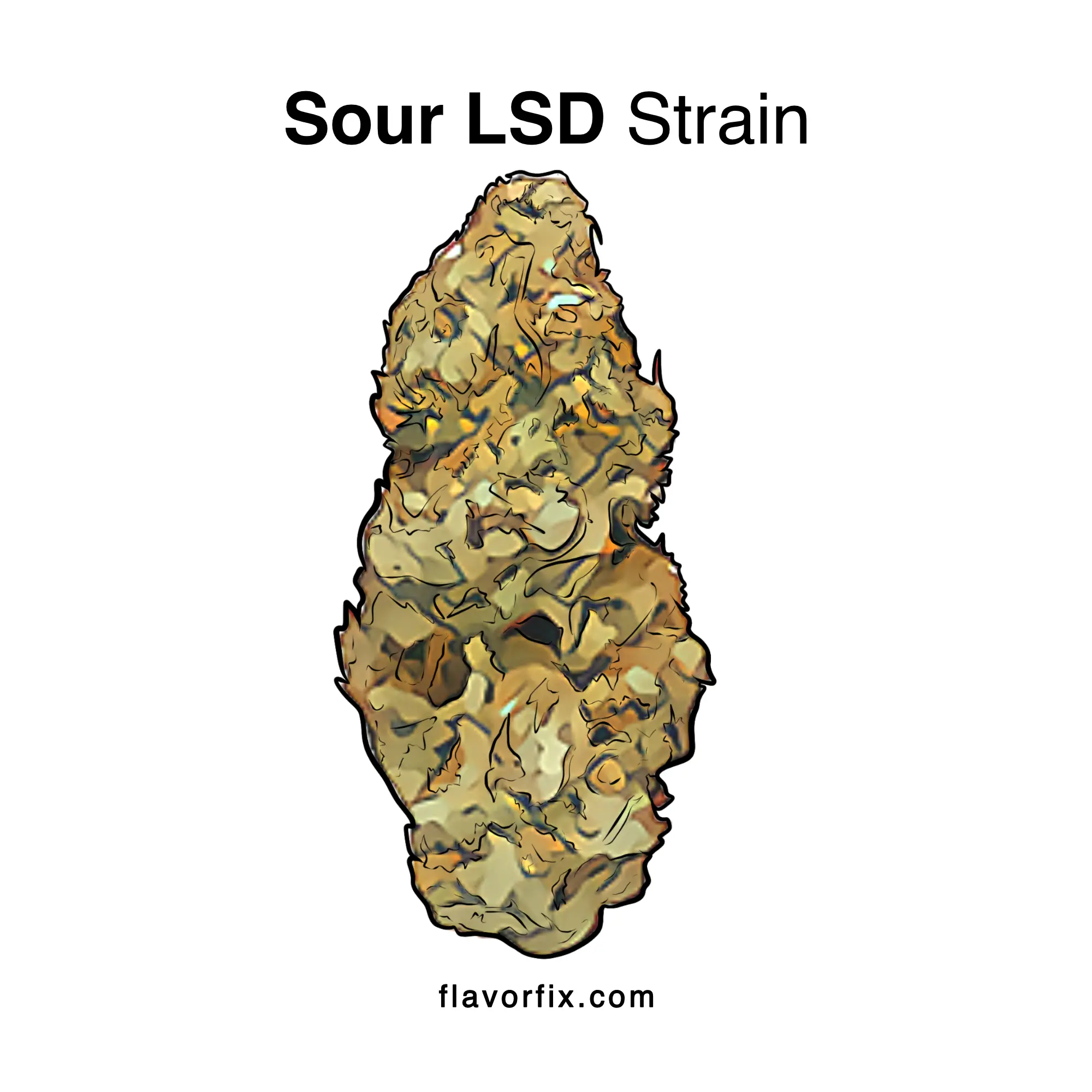 Sour LSD Strain Effects, Information & Ratings | Flavor Fix