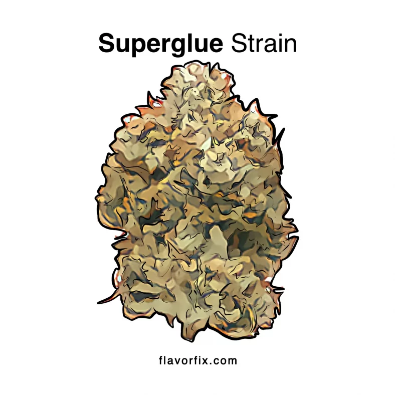 Superglue Strain