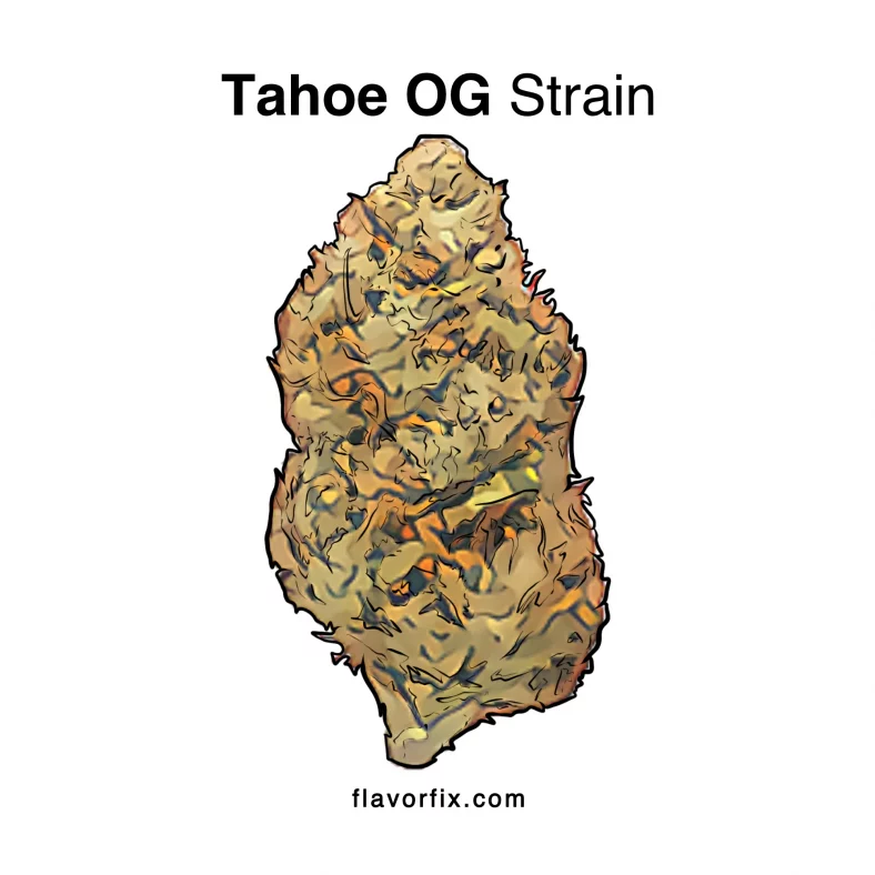 Tahoe OG Strain