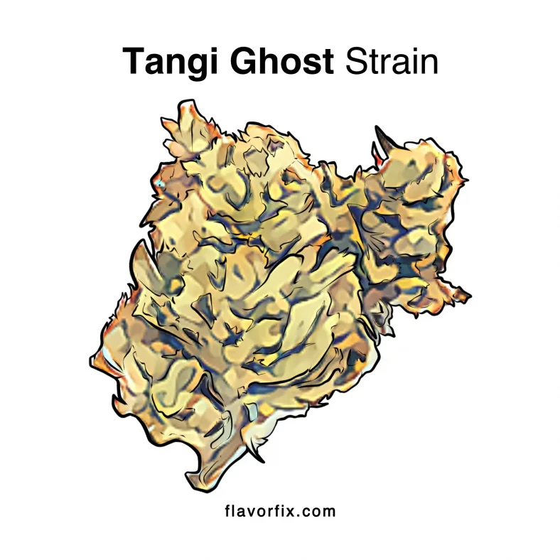 Tangie Ghost Strain